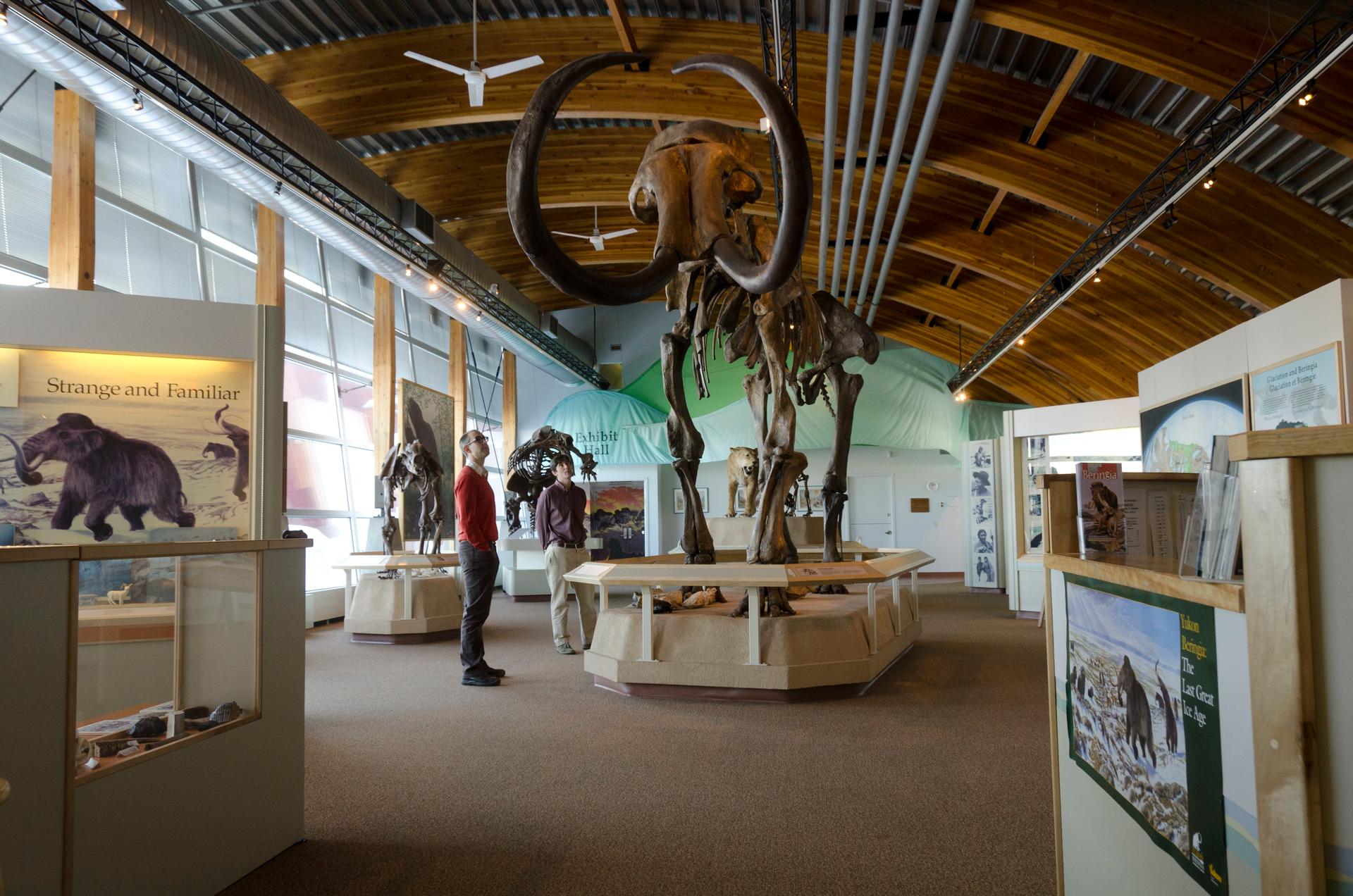 mammoth