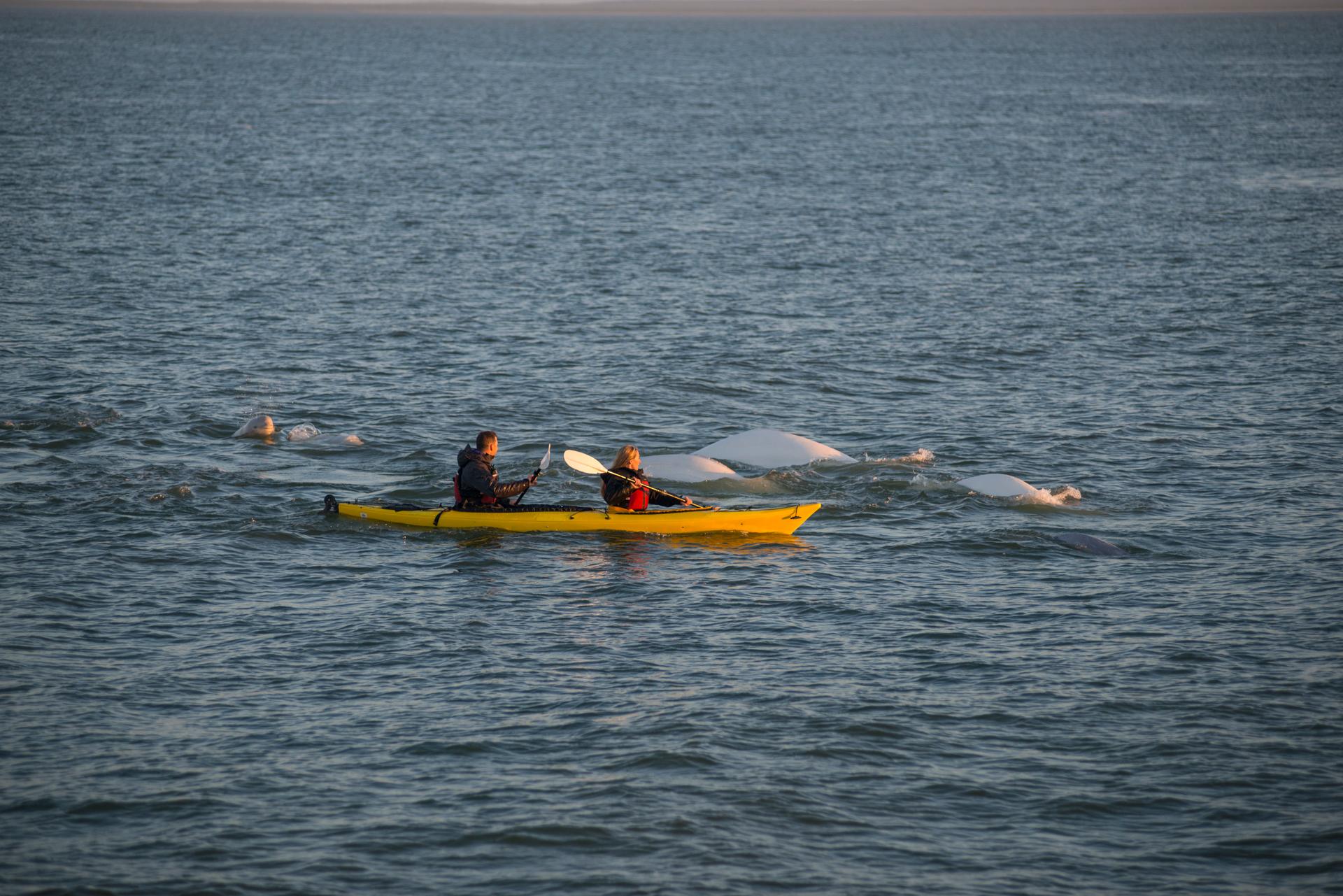 kayaking