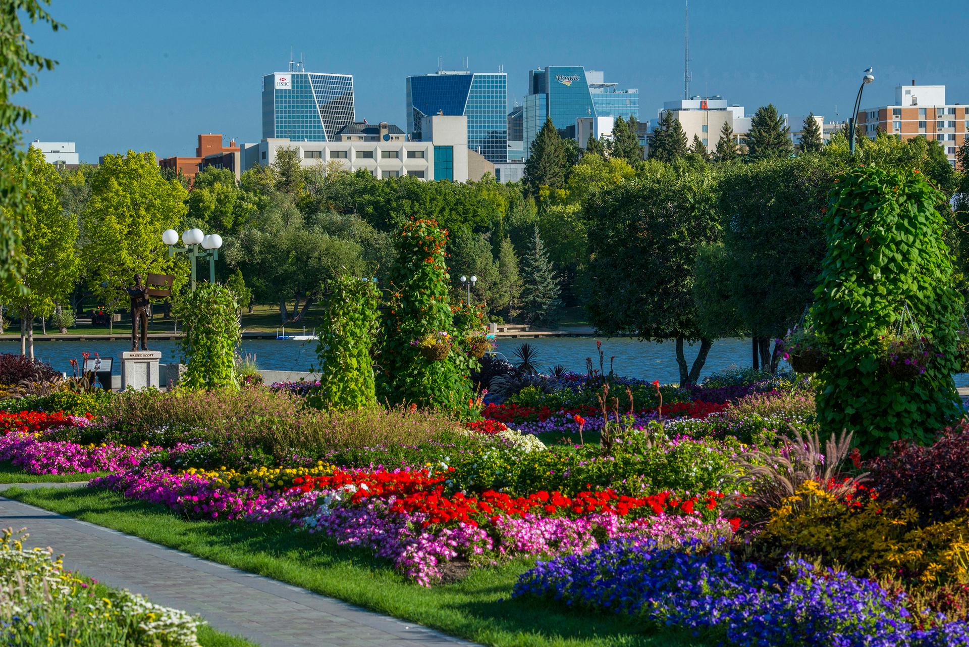 A Warm Prairie Welcome, Willows on Wascana