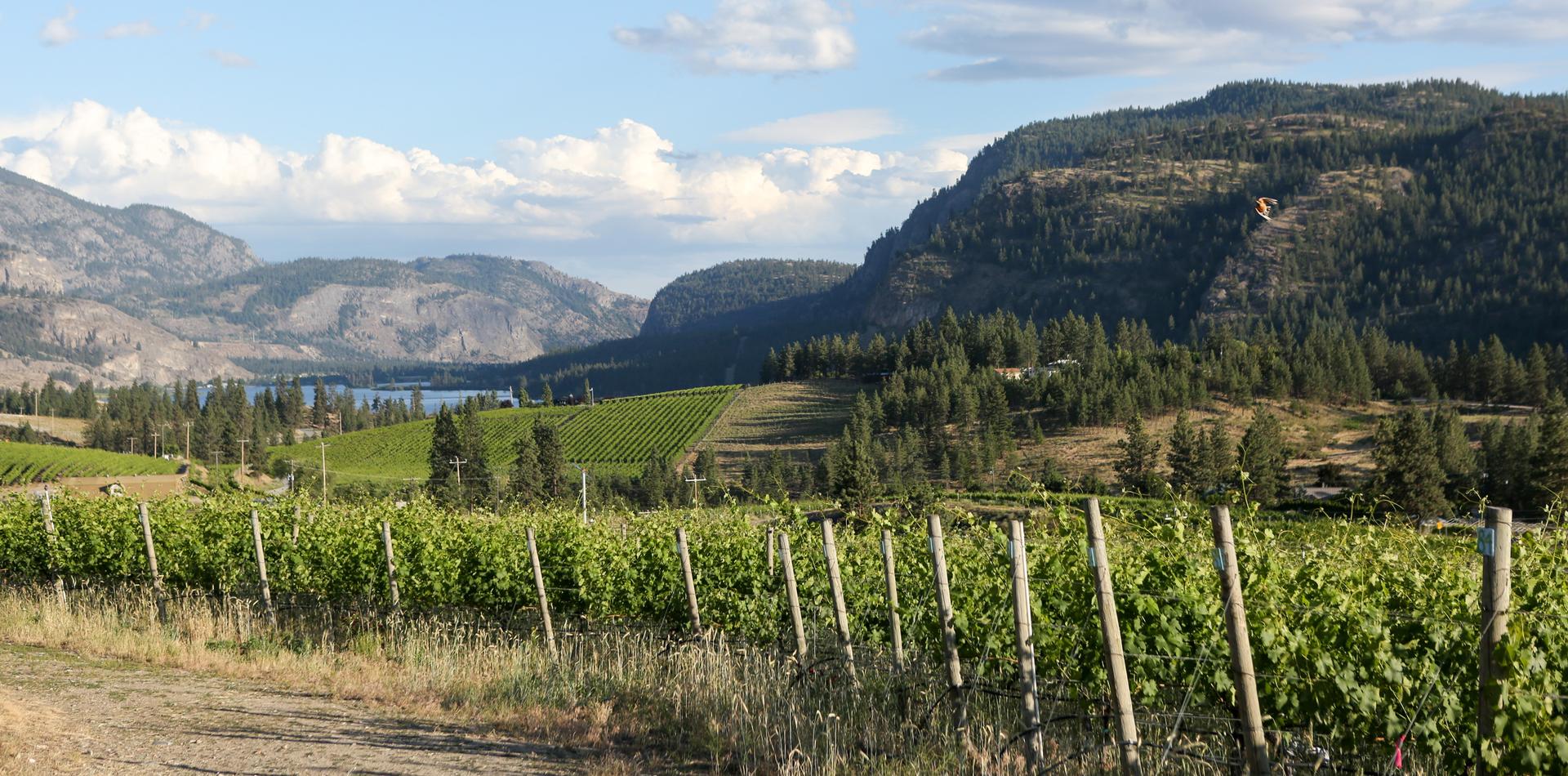 kelowna