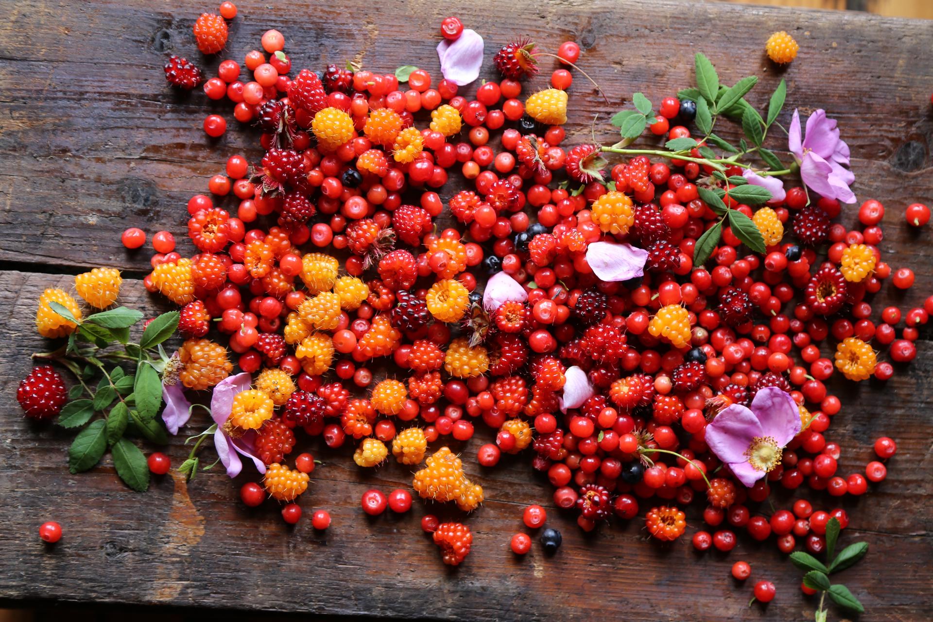 Foraged berries