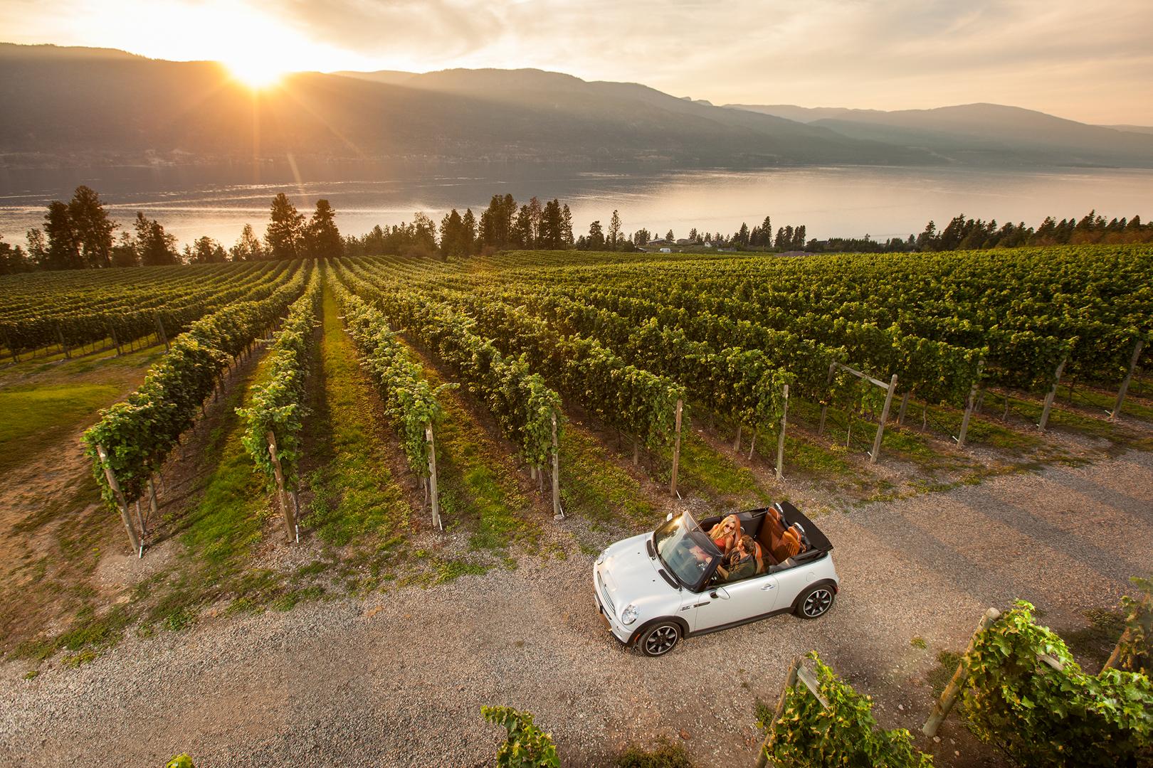 Wine touring by sports car