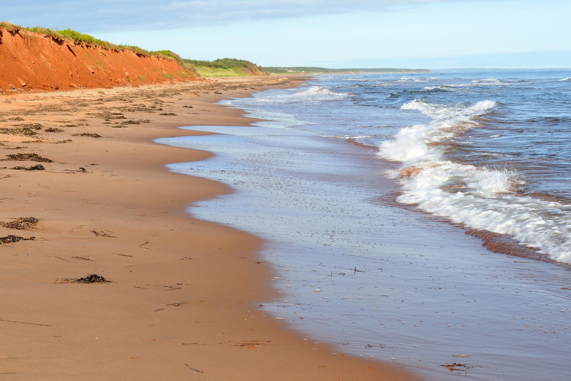 Island Beach Party, Brackley Beach