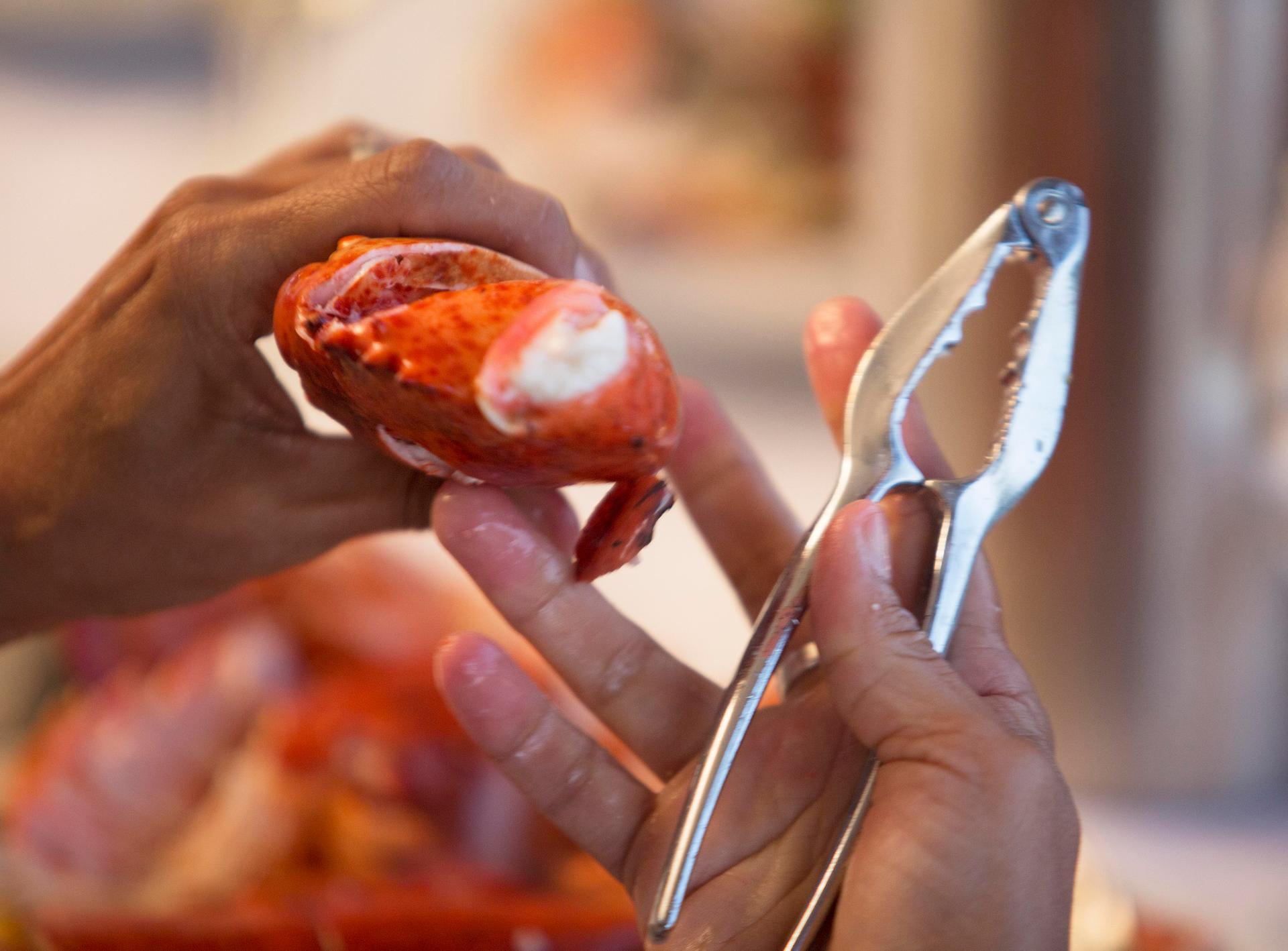 Atlantic Lobster at the Maritime Museum