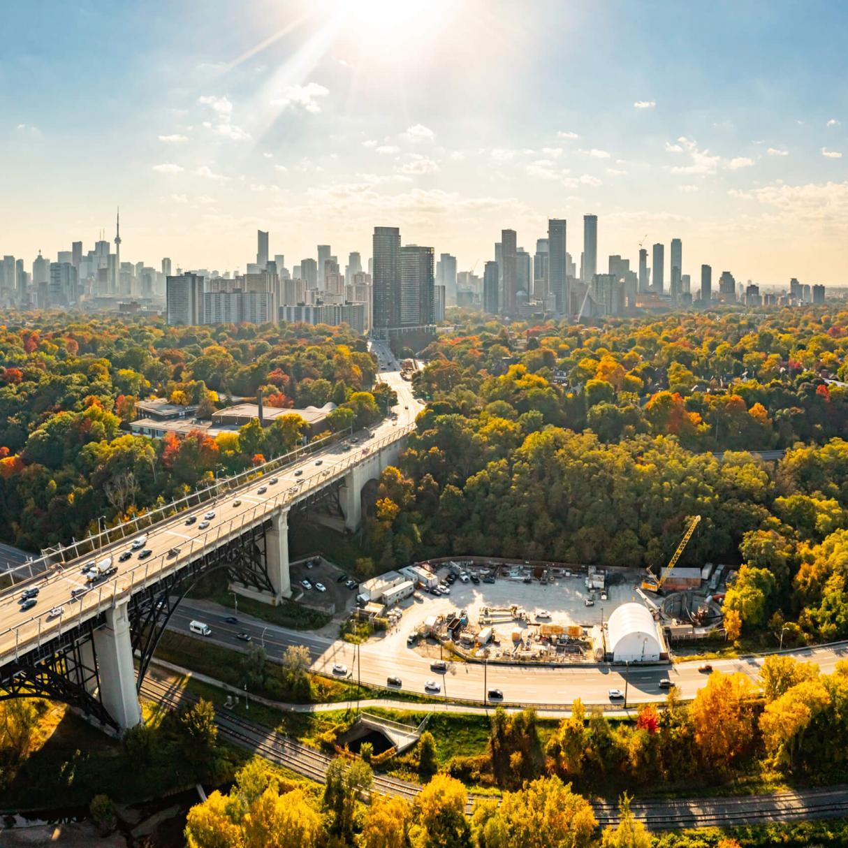 The skyline of a lush, tree-lined city, next to a highway overpass
