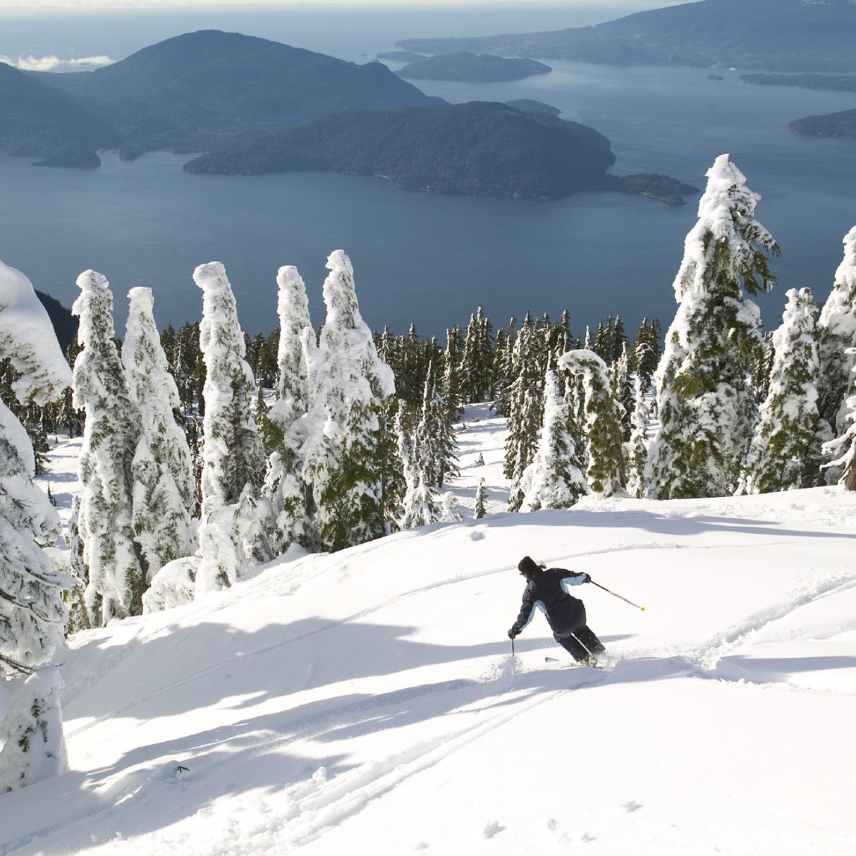 A skier descends a powdery white mountain lined with snow-topped trees